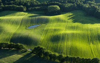 Aerial photo of farmland.