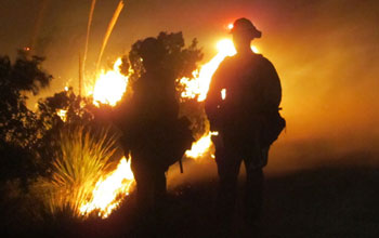Photo of a firefighter in the foreground and wildfire burning a forest in the background.