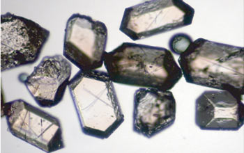 Tiny crystals called zircons are used to date oceanic crust.