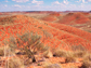 Red soil in the Australian desert