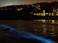 a red tide turns bioluminescent off Scripps Oceanography Pier