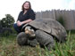 Janna Willoughby with a Galapagos giant tortoise