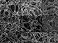 surface SEM images of Janus membrane front faces