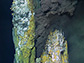 a hydrothermal vent, named Medea