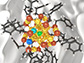 the ligand-protected metal nanoclusters