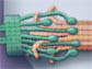 illustration of the kinetochore and microtubule