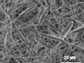 electron micrograph of nanowires and nanobelts