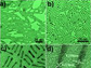 News thumbnail of nanorods and nanowires