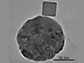 a palladium nanocube with a gold disk