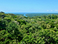 San Lorenzo, Panama, where Brookhaven scientists conducted field observations