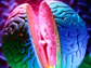 News thumbnail of brain image