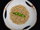 soybean in a bowl