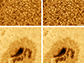 images taken from Big Bear Solar Observatory of a massive section of the Sun's surface