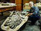 Professor Ewan Fordyce and the 34 million-year-old whale fossil