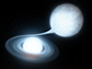 a pair of white dwarfs in orbit around each other