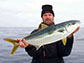 researcher with a California Yellowtail