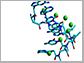 peptide nucleic acid (PNA) molecules