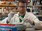 Zachary Charlop-Powers examine DNA from soil samples