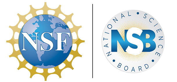 NSF and NSB logos